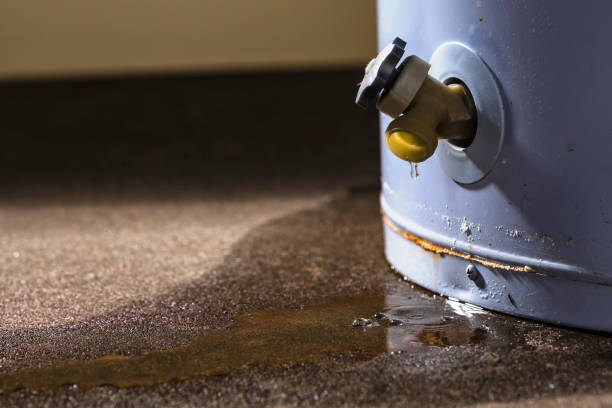 Best Flood damage cleanup  in Brownsville, TX