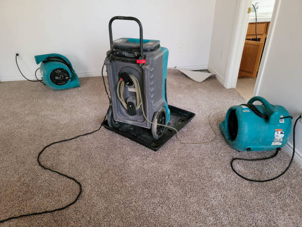 Carpet water damage restoration in Brownsville, TX