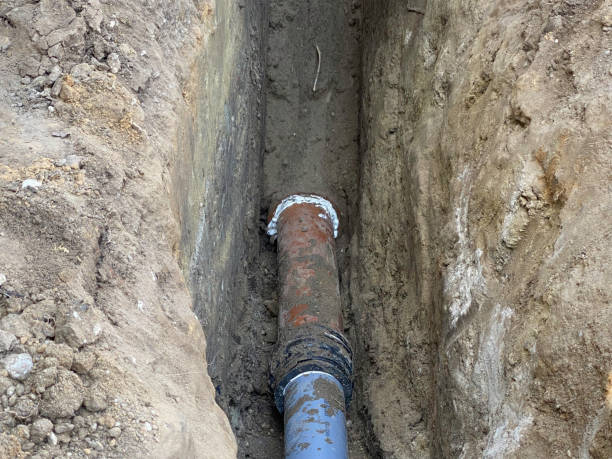 Best Professional water damage repair  in Brownsville, TX