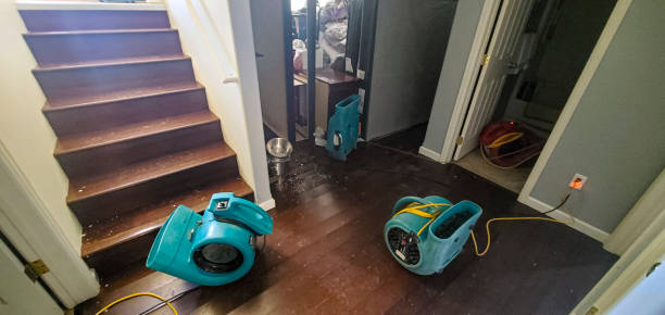 Sewage cleanup and water damage restoration in Brownsville, TX