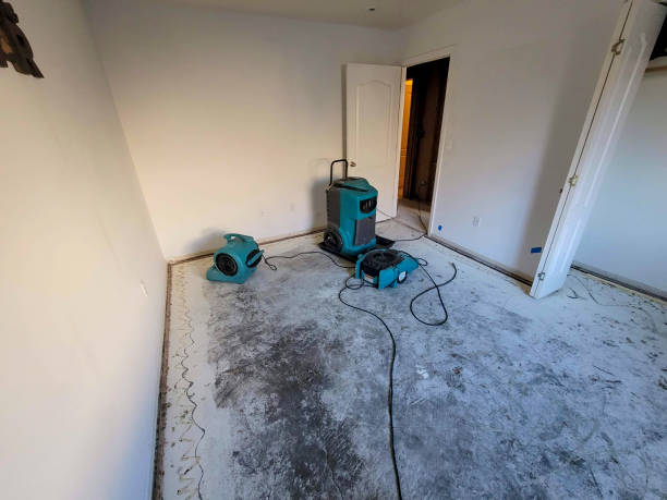 Best 24-hour water damage restoration  in Brownsville, TX
