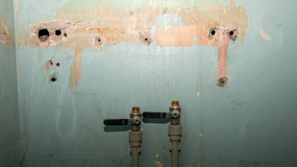 Best Residential water damage restoration  in Brownsville, TX