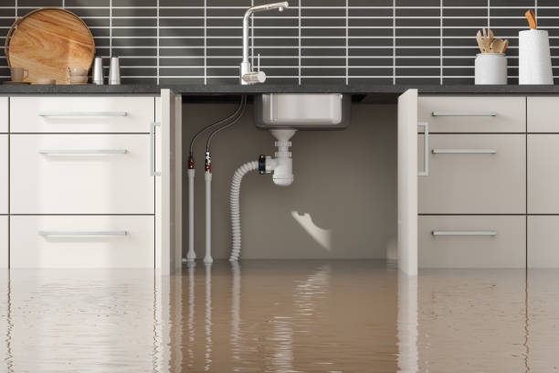 Best Professional water damage repair  in Brownsville, TX